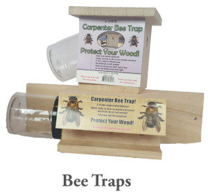 bee traps