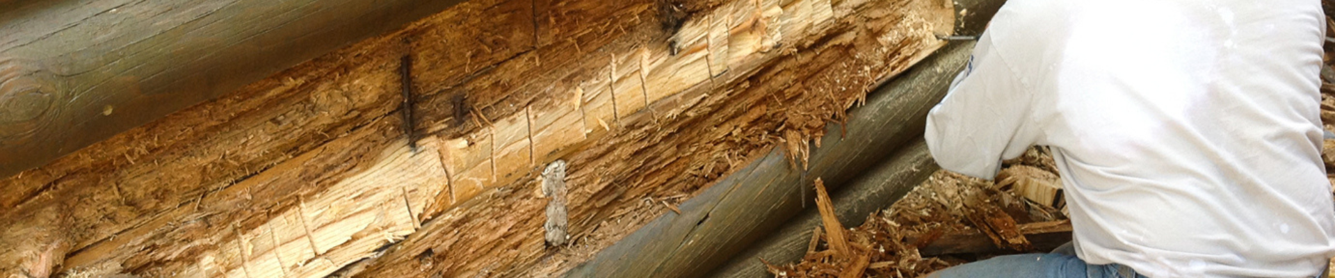 log replacement log replacement