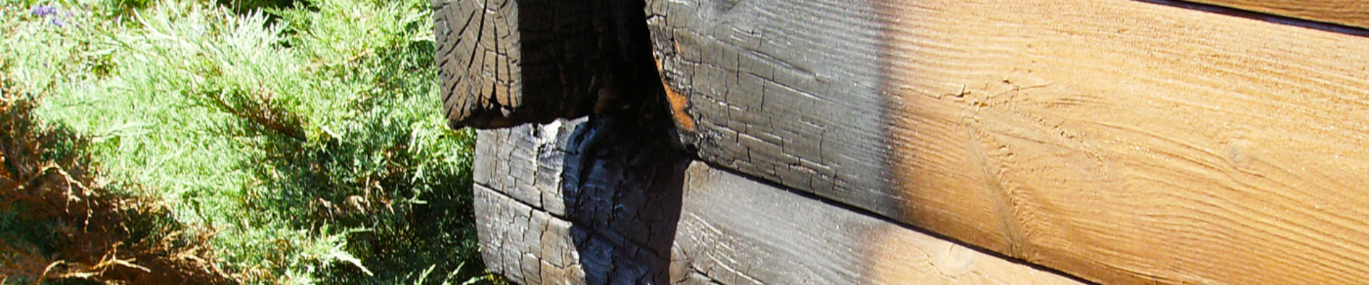 fire-restoration fire-restoration